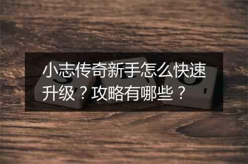 小志传奇新手怎么快速升级？攻略有哪些？