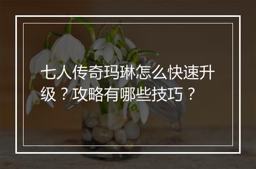 七人传奇玛琳怎么快速升级？攻略有哪些技巧？