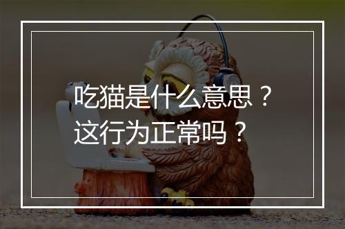 吃猫是什么意思？这行为正常吗？
