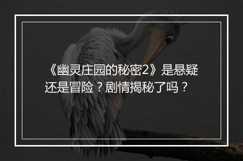 《幽灵庄园的秘密2》是悬疑还是冒险？剧情揭秘了吗？
