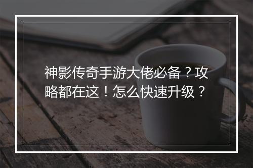 神影传奇手游大佬必备？攻略都在这！怎么快速升级？