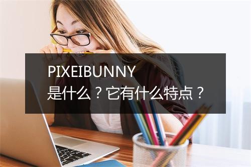 PIXEIBUNNY 是什么？它有什么特点？