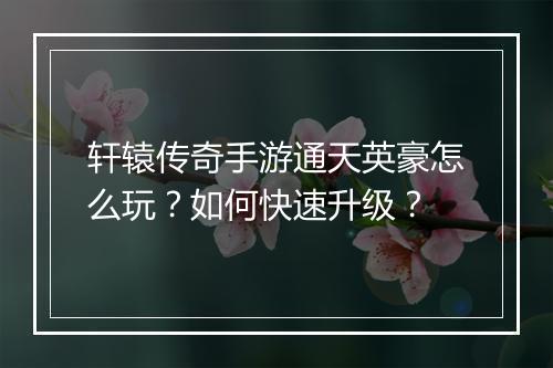轩辕传奇手游通天英豪怎么玩？如何快速升级？