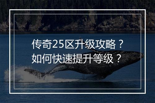 传奇25区升级攻略？如何快速提升等级？