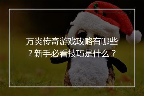 万炎传奇游戏攻略有哪些？新手必看技巧是什么？