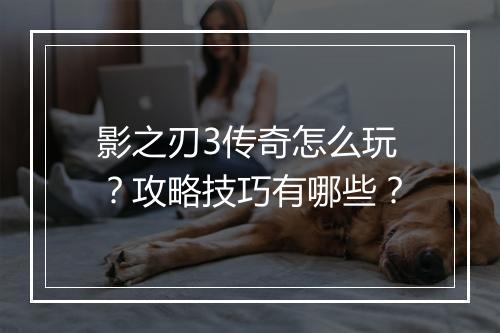 影之刃3传奇怎么玩？攻略技巧有哪些？
