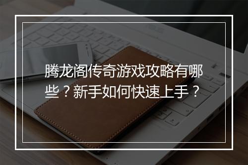 腾龙阁传奇游戏攻略有哪些？新手如何快速上手？