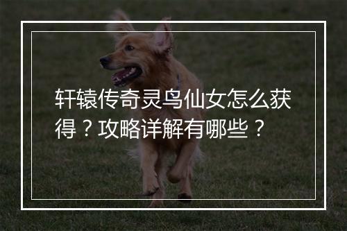 轩辕传奇灵鸟仙女怎么获得？攻略详解有哪些？