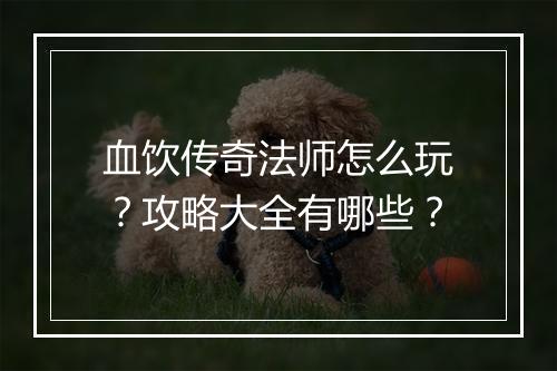 血饮传奇法师怎么玩？攻略大全有哪些？