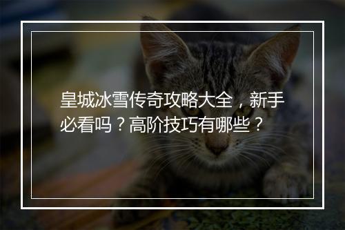 皇城冰雪传奇攻略大全，新手必看吗？高阶技巧有哪些？