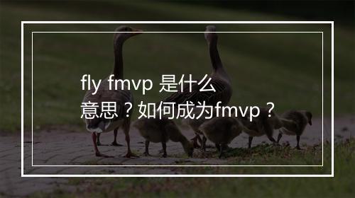 fly fmvp 是什么意思？如何成为fmvp？