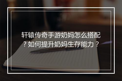 轩辕传奇手游奶妈怎么搭配？如何提升奶妈生存能力？
