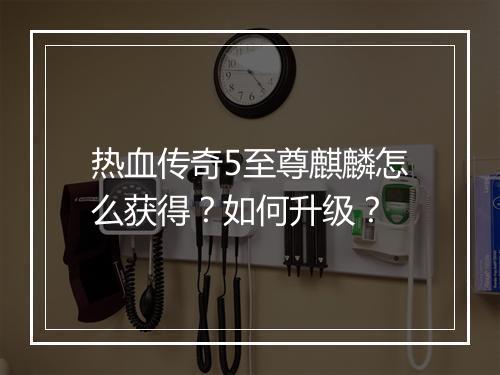 热血传奇5至尊麒麟怎么获得？如何升级？