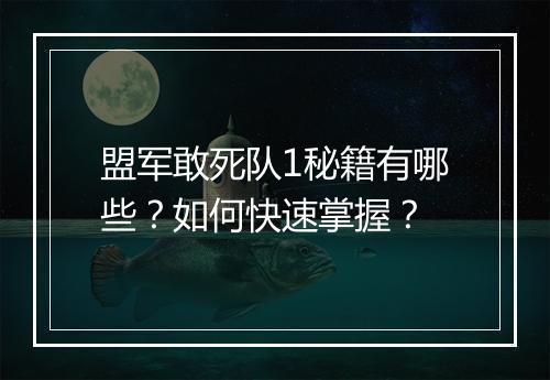 盟军敢死队1秘籍有哪些？如何快速掌握？