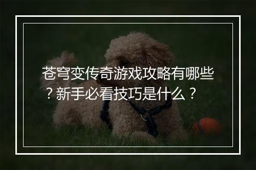 苍穹变传奇游戏攻略有哪些？新手必看技巧是什么？