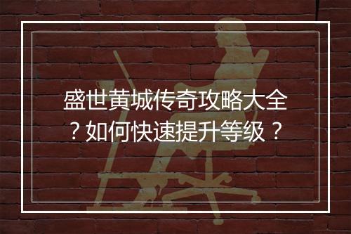 盛世黄城传奇攻略大全？如何快速提升等级？