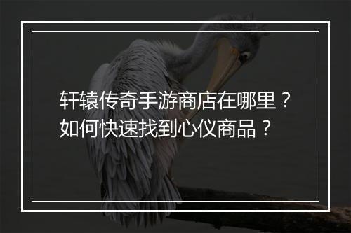 轩辕传奇手游商店在哪里？如何快速找到心仪商品？