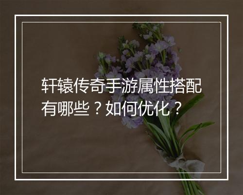 轩辕传奇手游属性搭配有哪些？如何优化？