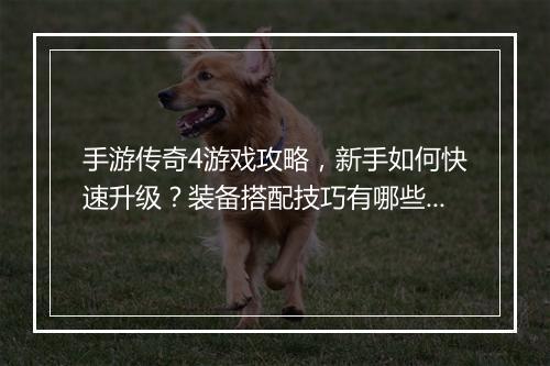 手游传奇4游戏攻略，新手如何快速升级？装备搭配技巧有哪些？
