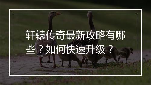 轩辕传奇最新攻略有哪些？如何快速升级？
