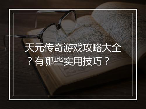 天元传奇游戏攻略大全？有哪些实用技巧？