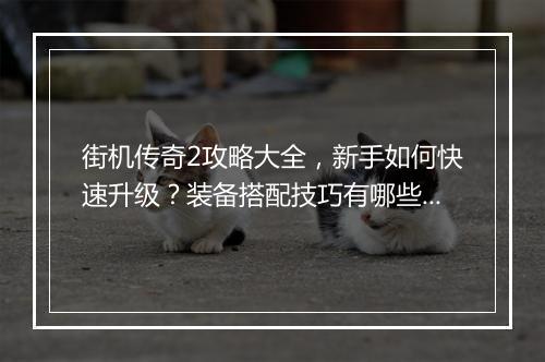 街机传奇2攻略大全，新手如何快速升级？装备搭配技巧有哪些？