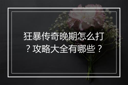 狂暴传奇晚期怎么打？攻略大全有哪些？