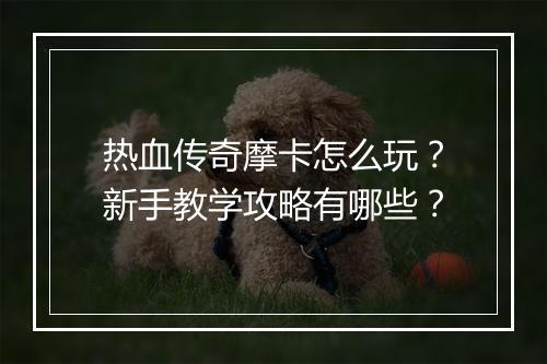 热血传奇摩卡怎么玩？新手教学攻略有哪些？