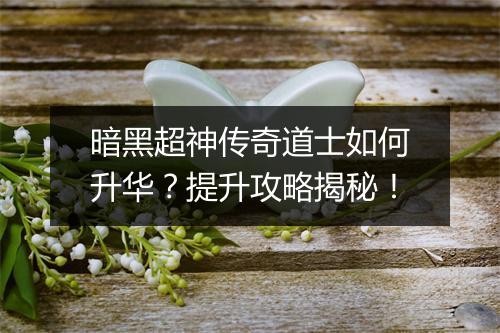 暗黑超神传奇道士如何升华？提升攻略揭秘！