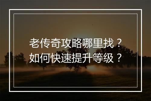 老传奇攻略哪里找？如何快速提升等级？