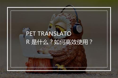 PET TRANSLATOR 是什么？如何高效使用？