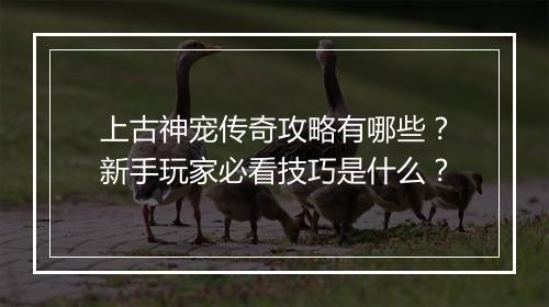 上古神宠传奇攻略有哪些？新手玩家必看技巧是什么？