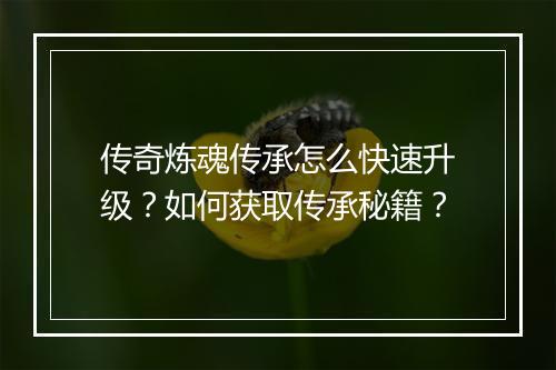 传奇炼魂传承怎么快速升级？如何获取传承秘籍？