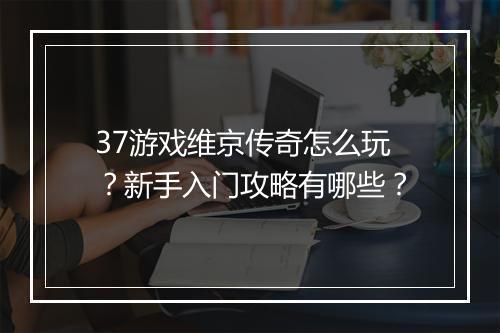37游戏维京传奇怎么玩？新手入门攻略有哪些？