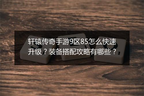 轩辕传奇手游9区85怎么快速升级？装备搭配攻略有哪些？