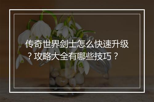 传奇世界剑士怎么快速升级？攻略大全有哪些技巧？