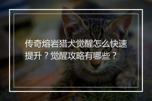 传奇熔岩猎犬觉醒怎么快速提升？觉醒攻略有哪些？