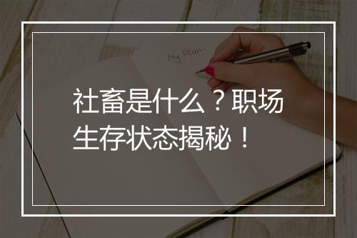 社畜是什么？职场生存状态揭秘！