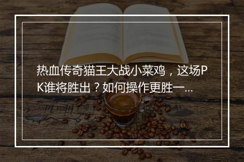 热血传奇猫王大战小菜鸡，这场PK谁将胜出？如何操作更胜一筹？