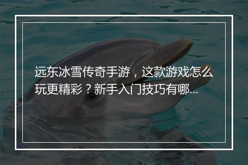 远东冰雪传奇手游，这款游戏怎么玩更精彩？新手入门技巧有哪些？