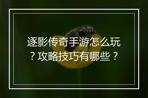 逐影传奇手游怎么玩？攻略技巧有哪些？