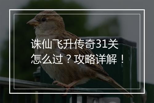 诛仙飞升传奇31关怎么过？攻略详解！