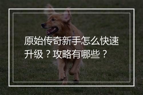 原始传奇新手怎么快速升级？攻略有哪些？