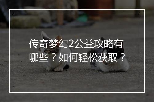 传奇梦幻2公益攻略有哪些？如何轻松获取？