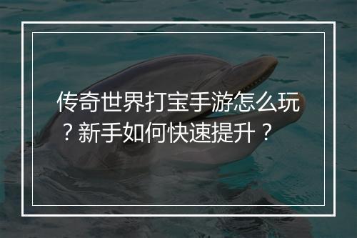 传奇世界打宝手游怎么玩？新手如何快速提升？