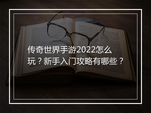 传奇世界手游2022怎么玩？新手入门攻略有哪些？
