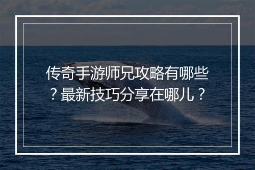 传奇手游师兄攻略有哪些？最新技巧分享在哪儿？