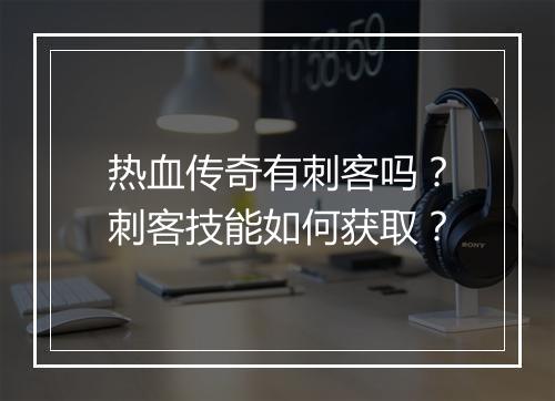 热血传奇有刺客吗？刺客技能如何获取？