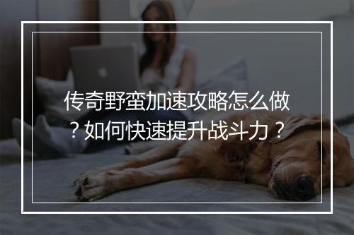 传奇野蛮加速攻略怎么做？如何快速提升战斗力？