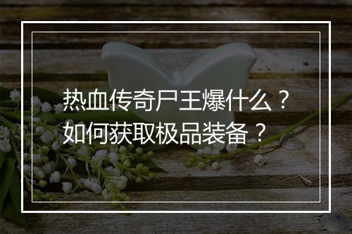 热血传奇尸王爆什么？如何获取极品装备？